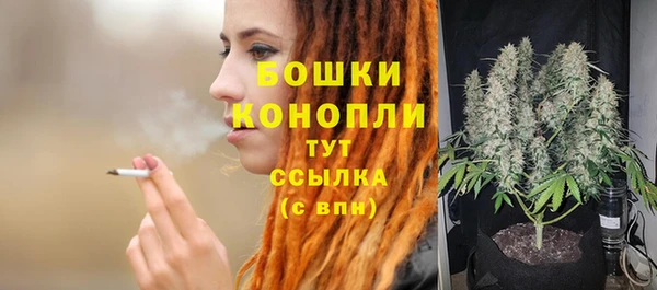 скорость Бородино