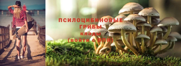 скорость Бородино